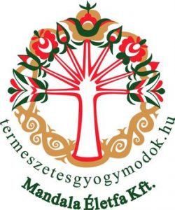 életfaszoveges 292x350